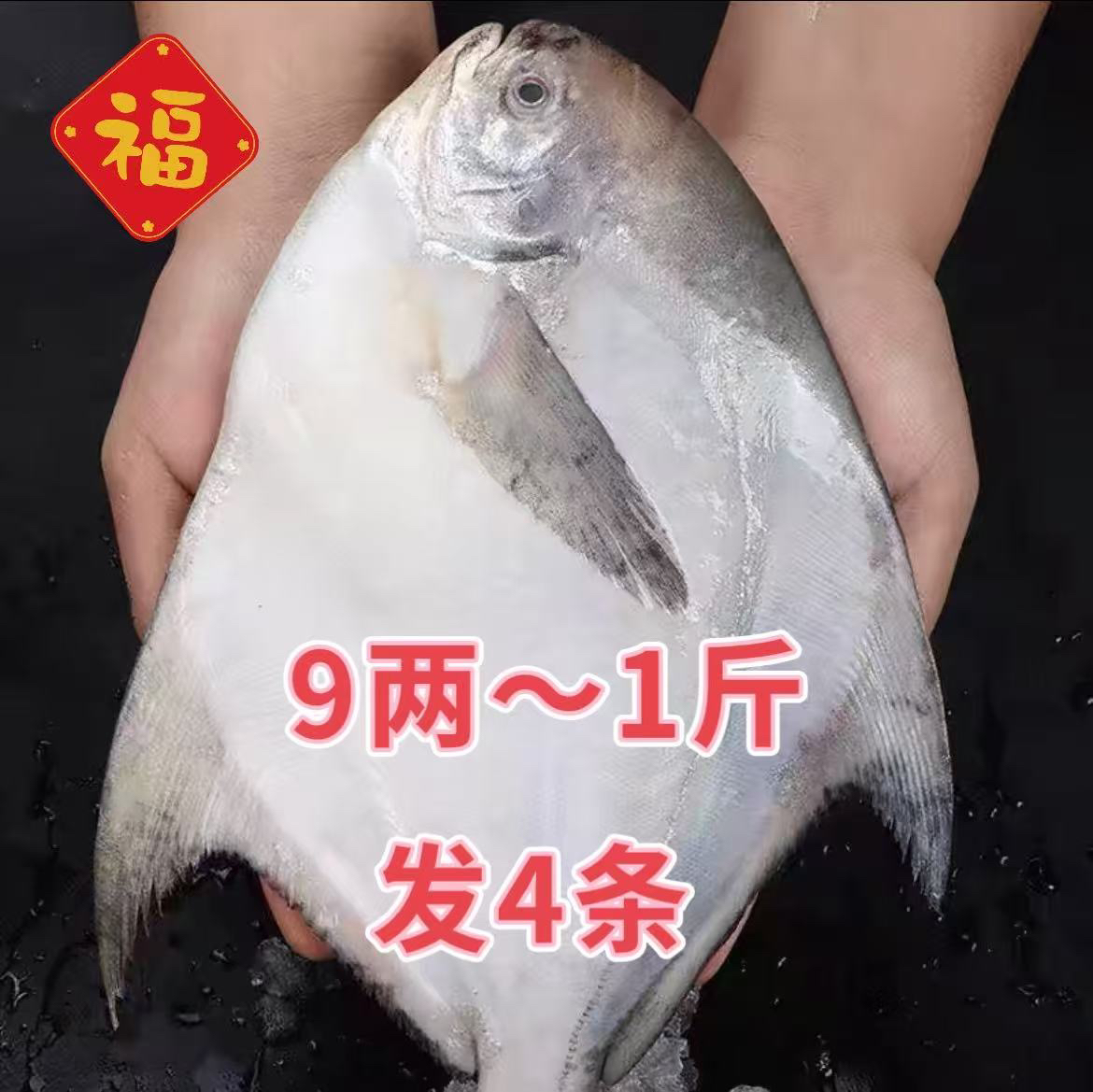 深海银鲳鱼 9两～1斤（到手4条）液氮锁鲜发货