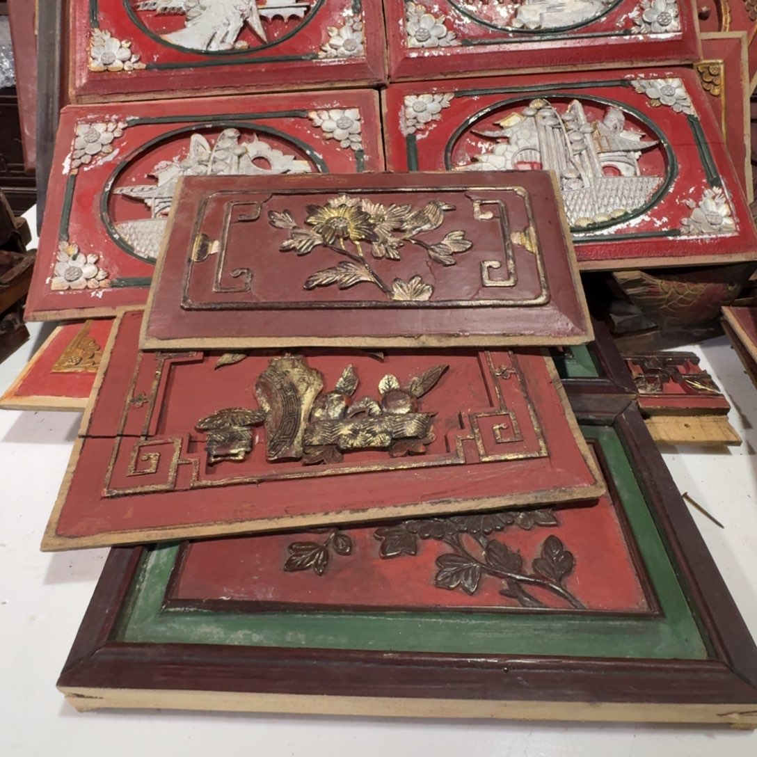 九***林香樟木不能吃东西不可以