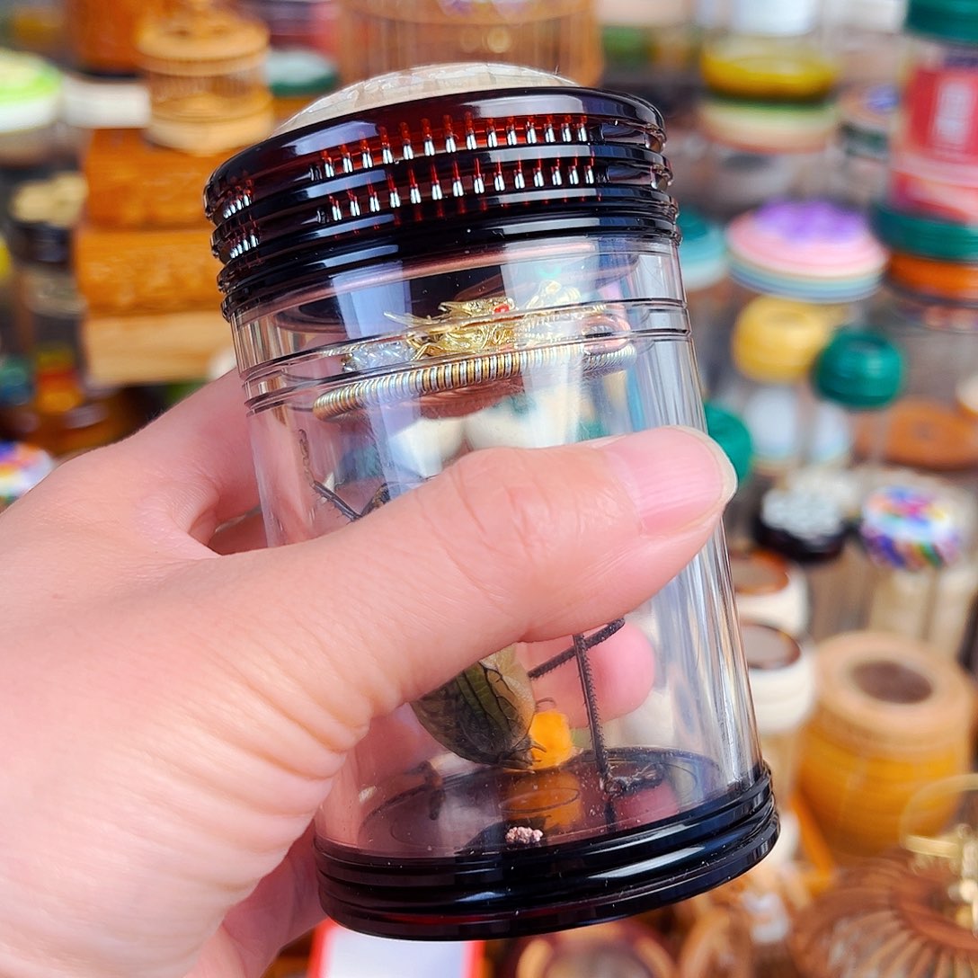 木茶色蒙心款➕龙簧➕铁皮新脱