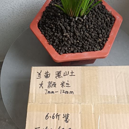 一***过兰菌颗粒大颗粒6.6斤