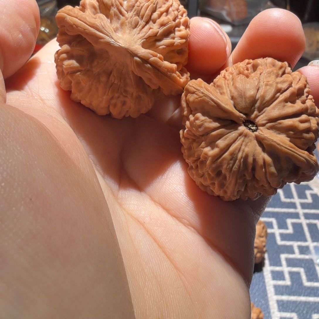 文玩核桃把件莲花