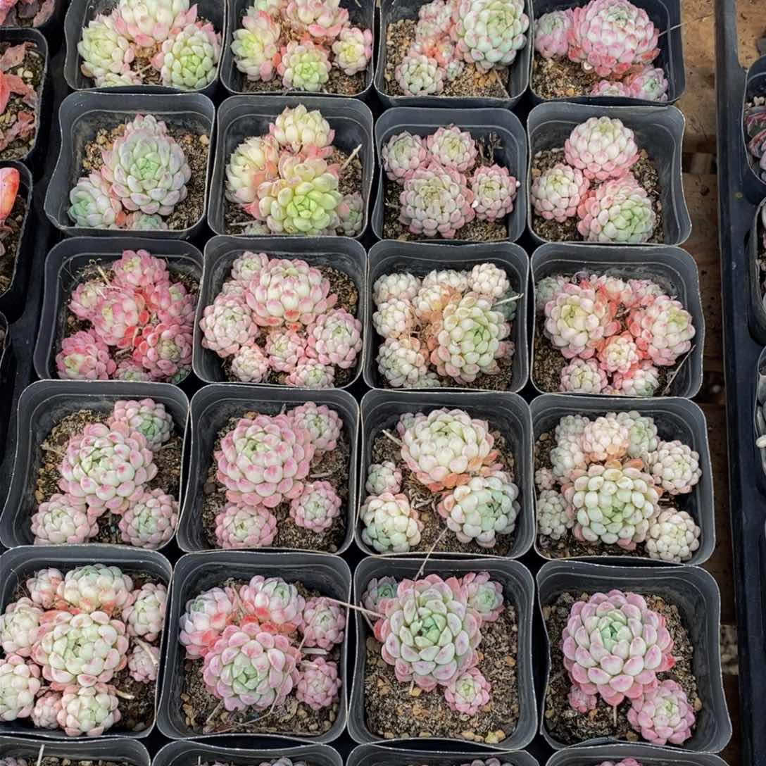 623的时候我也不知道你有多好