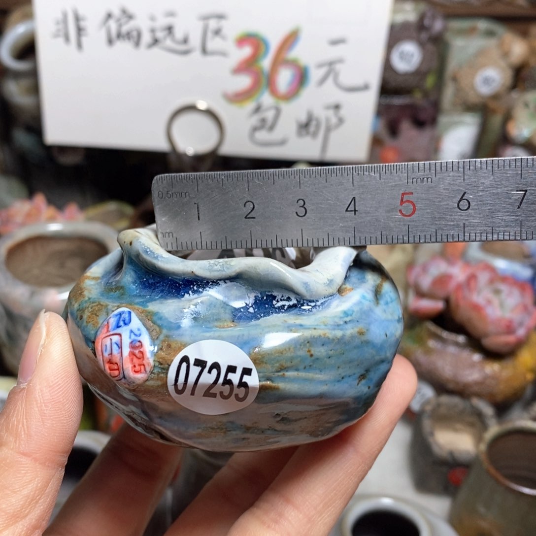 花盆拍3送一个小礼物