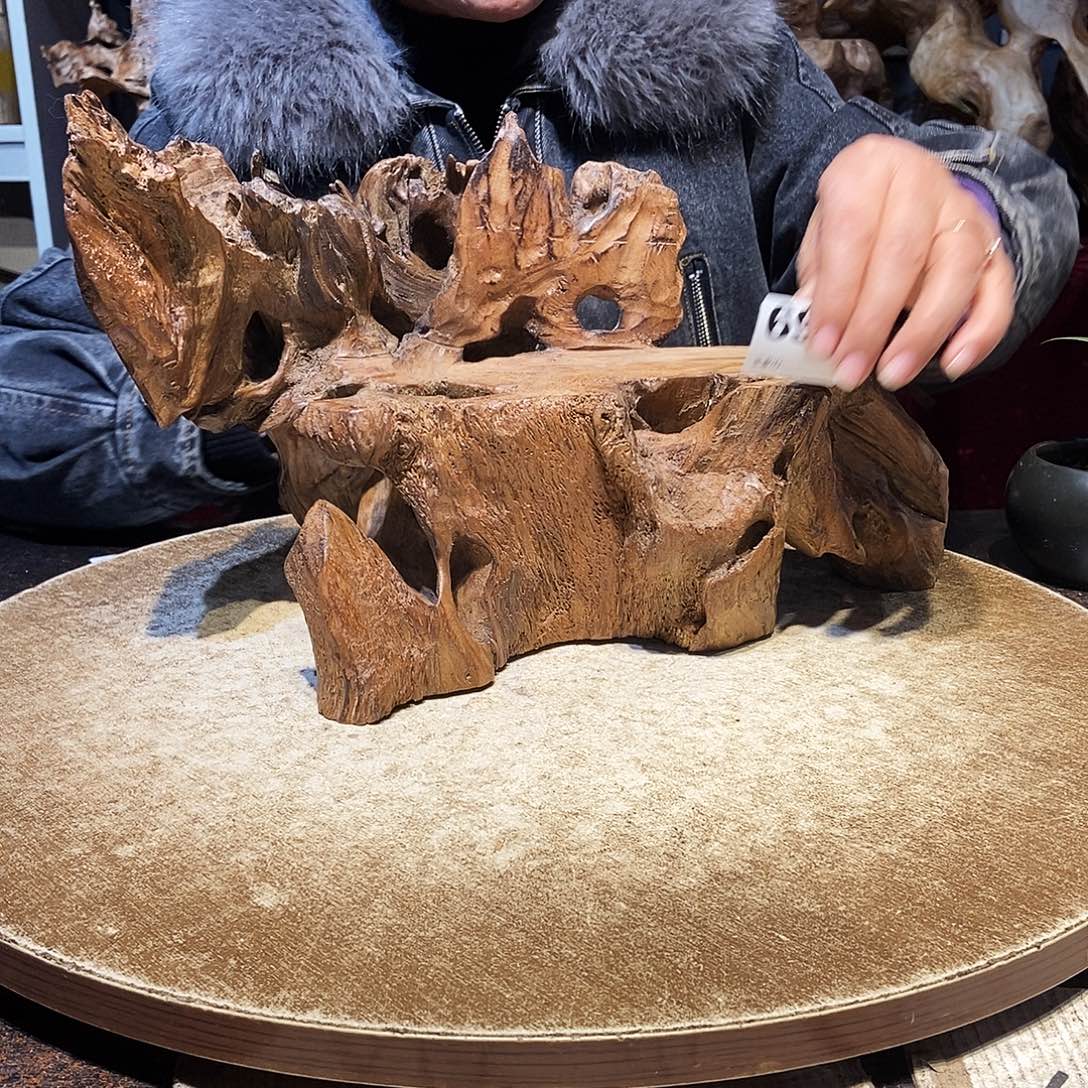 头***）697。株木随行根艺