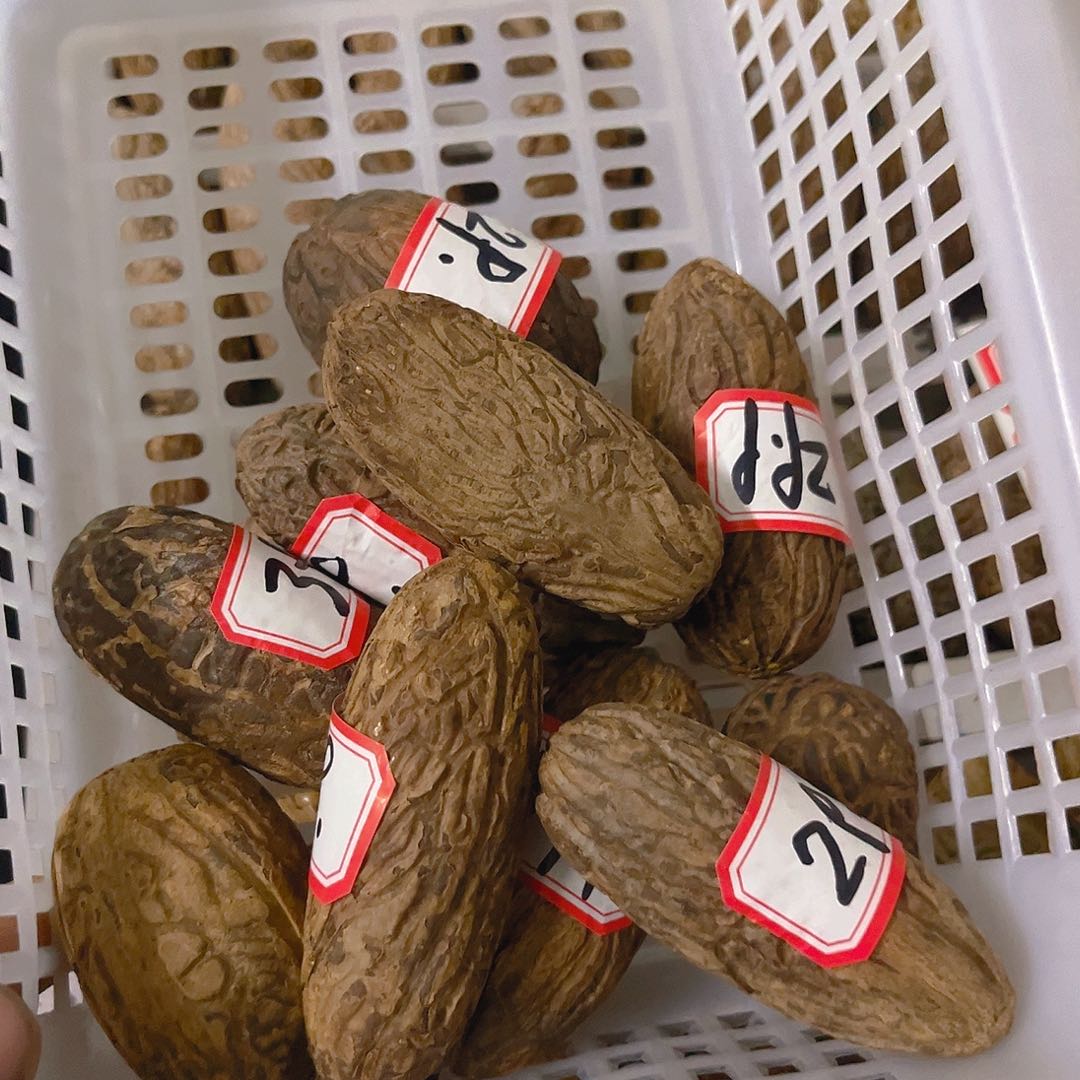 千眼菩提把件❥****千眼