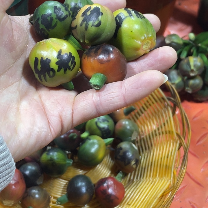 欧***栋完全开放君子兰四季开花稀释甲醛