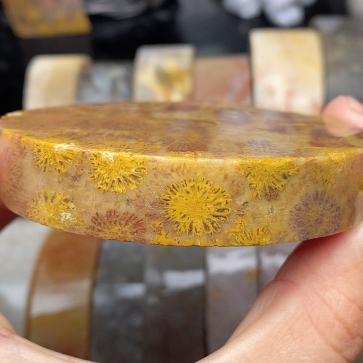 硅化珊瑚（珊瑚玉）手镯未镶嵌