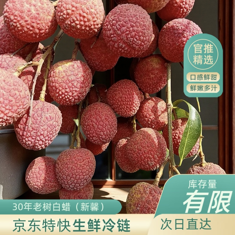【京东空运新疆西藏地区】高州30年老树白蜡荔枝现摘现发新鲜清甜