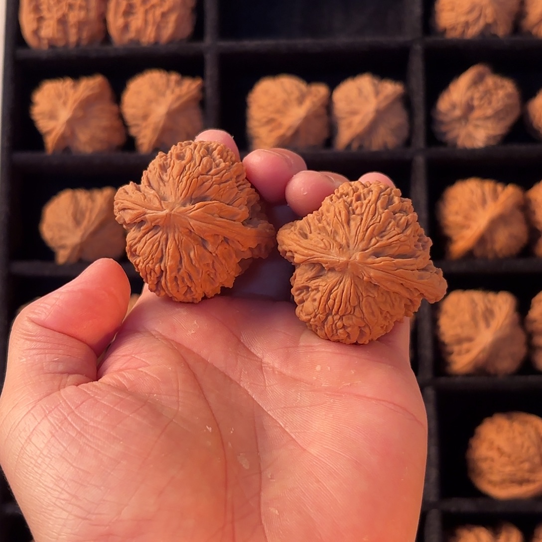 用***7核桃手串/手链55555