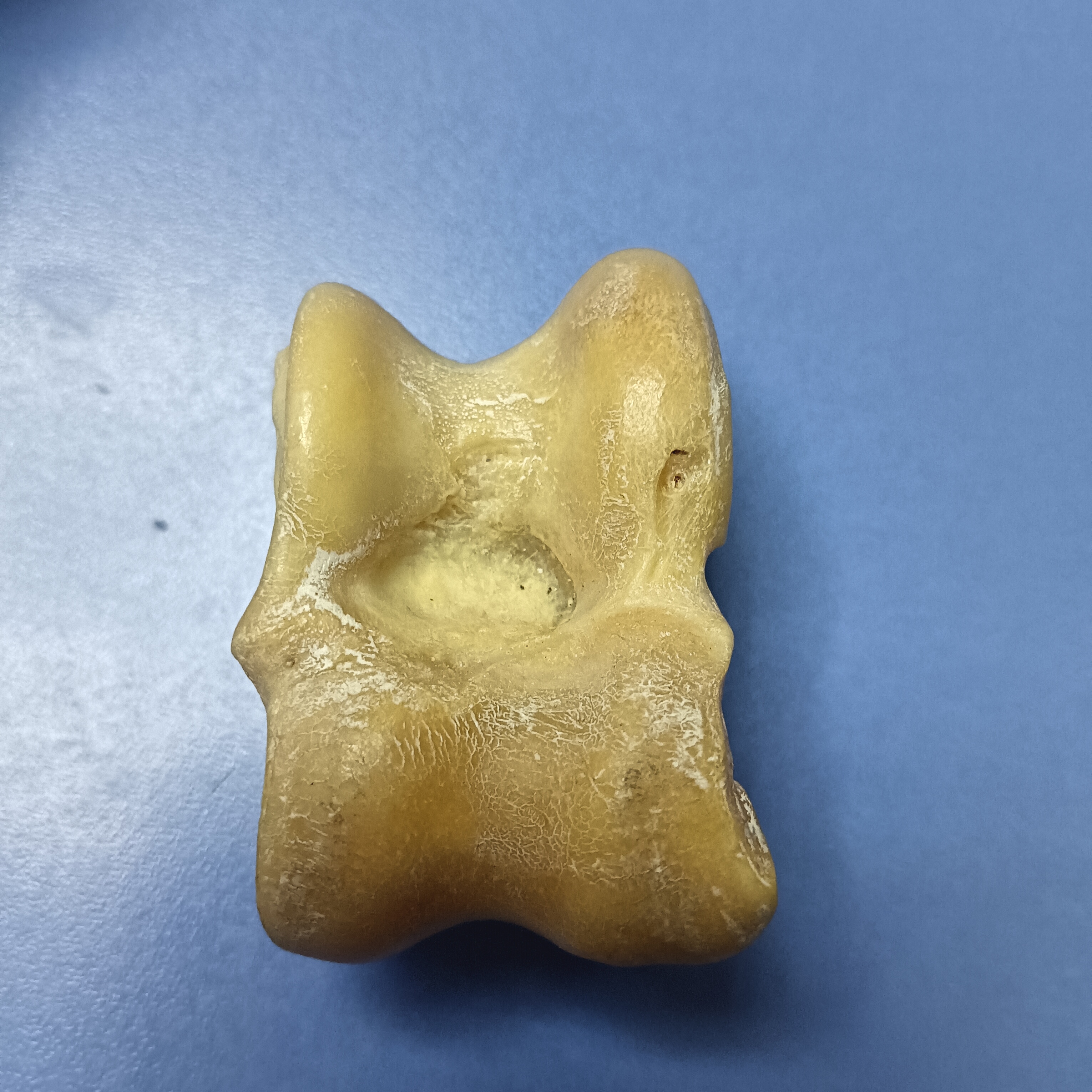 鹿骨饰品手把件饰品手捏随机发货