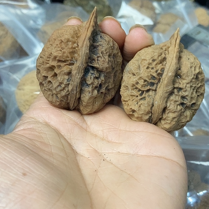 文玩核桃把件云南铁核桃基地48