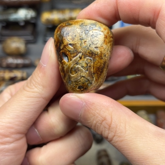 遇***）玛瑙/玉髓未镶嵌颈饰