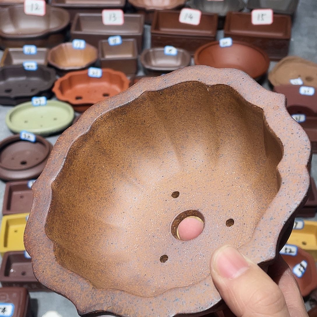 紫砂紫砂小盆13*5