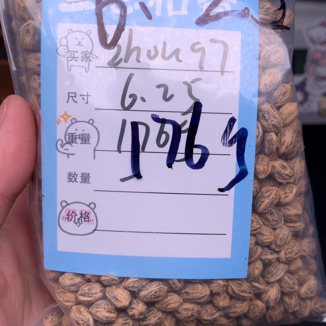 z***7柏香籽/百香籽吊坠