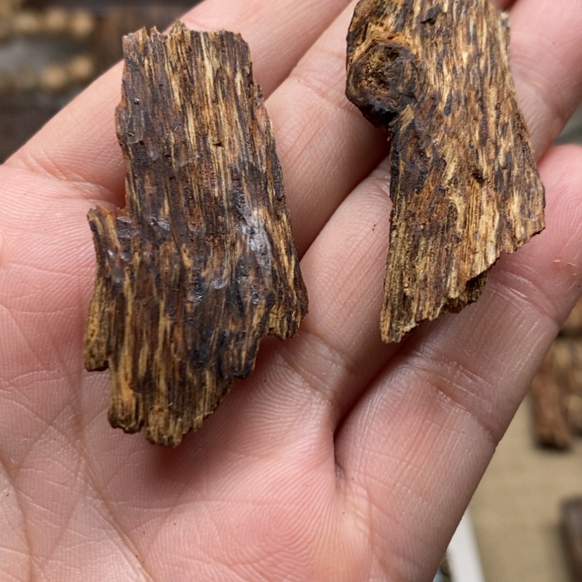 【闪购商品】沉香碎屑沉香芽庄