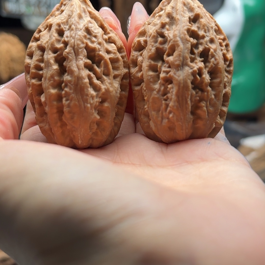 文玩核桃把件关东木子楸百核142