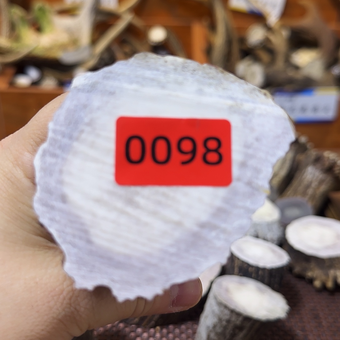 鹿骨手串/手链根段0098