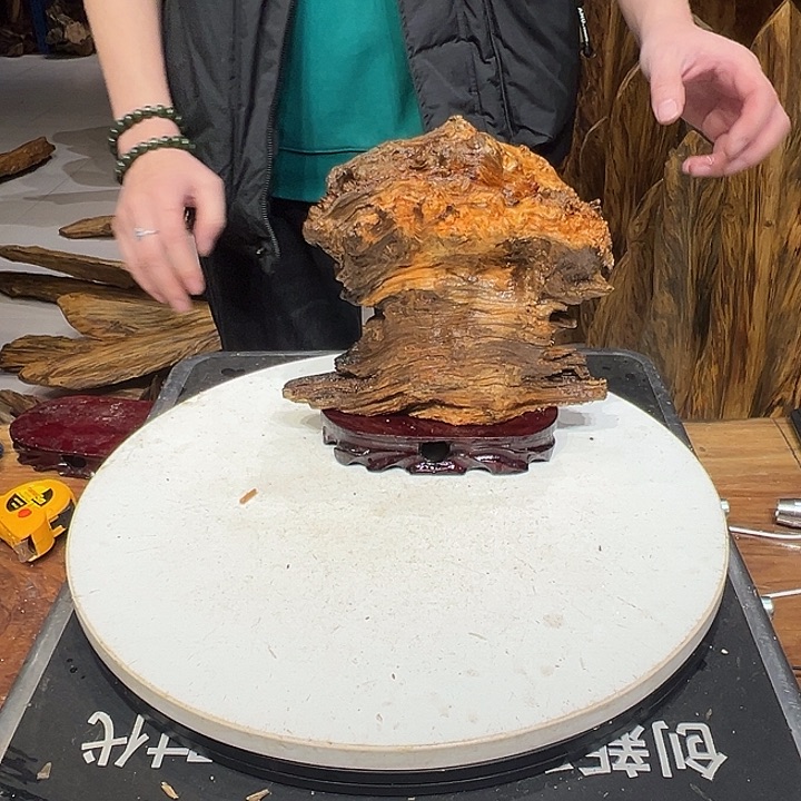 松木（琥珀木）空*螺