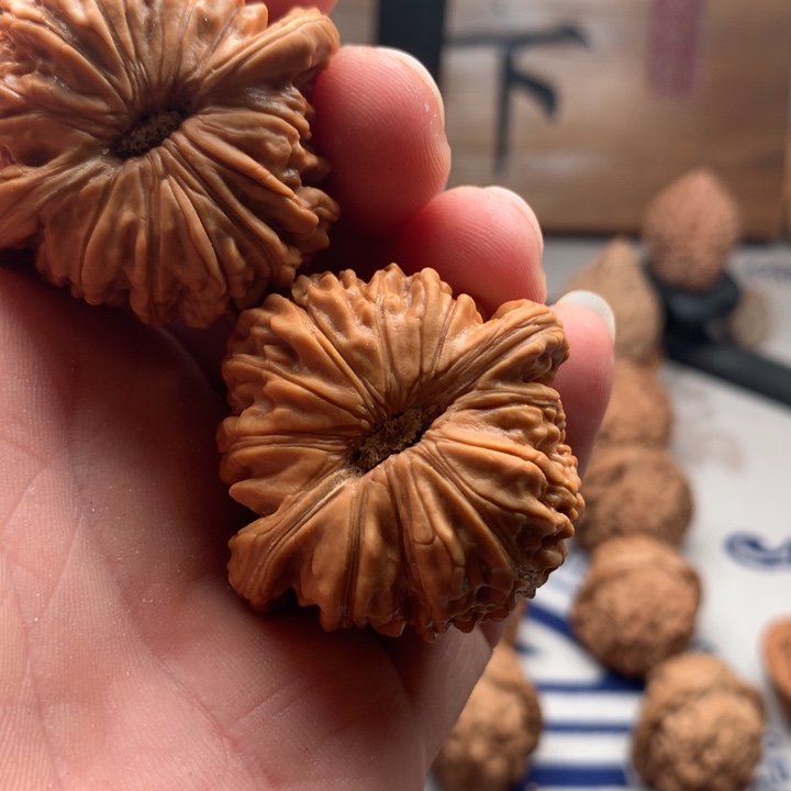 一***家桃核吊坠山地果四座楼