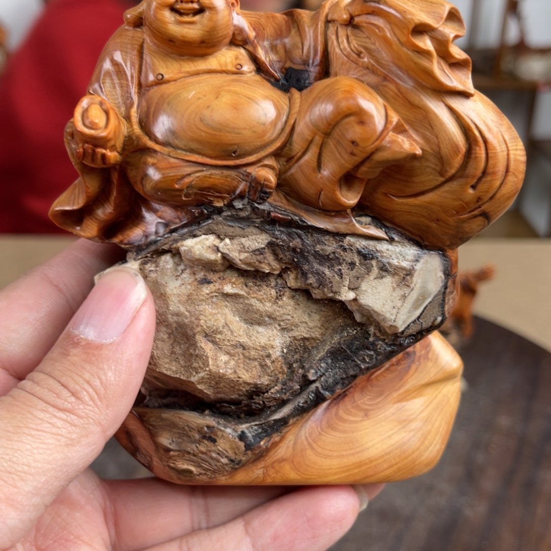 柏木（崖柏）太行山脉88888888