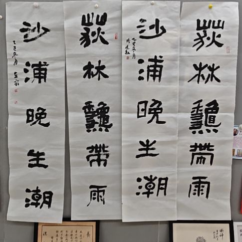 薛***喵安立众老师精品书法作品