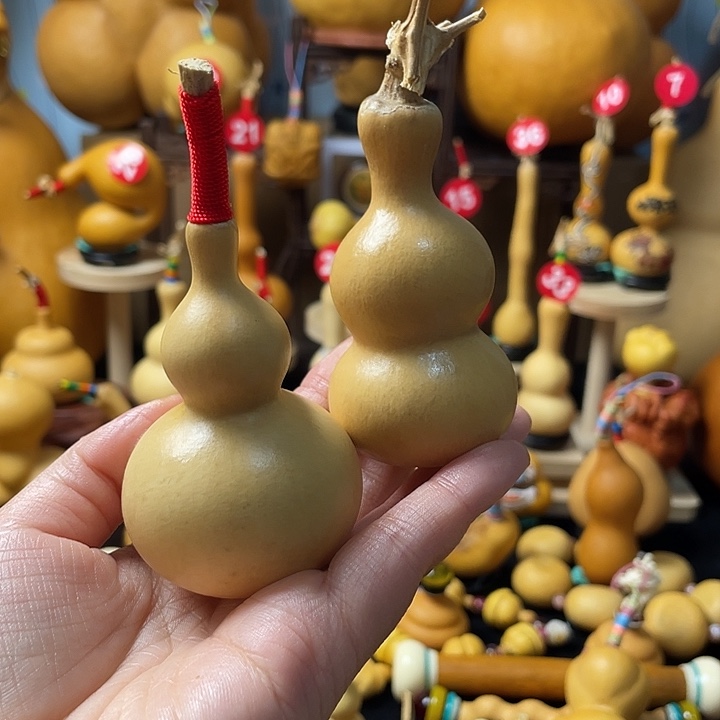 金***土葫芦岛市委点市人民政府