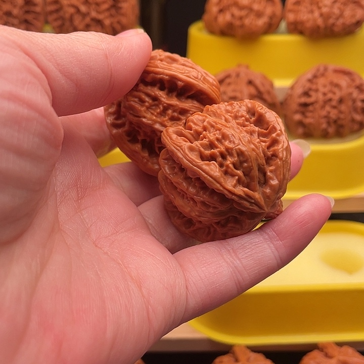 启***业大叶紫檀（黑酸枝木类）