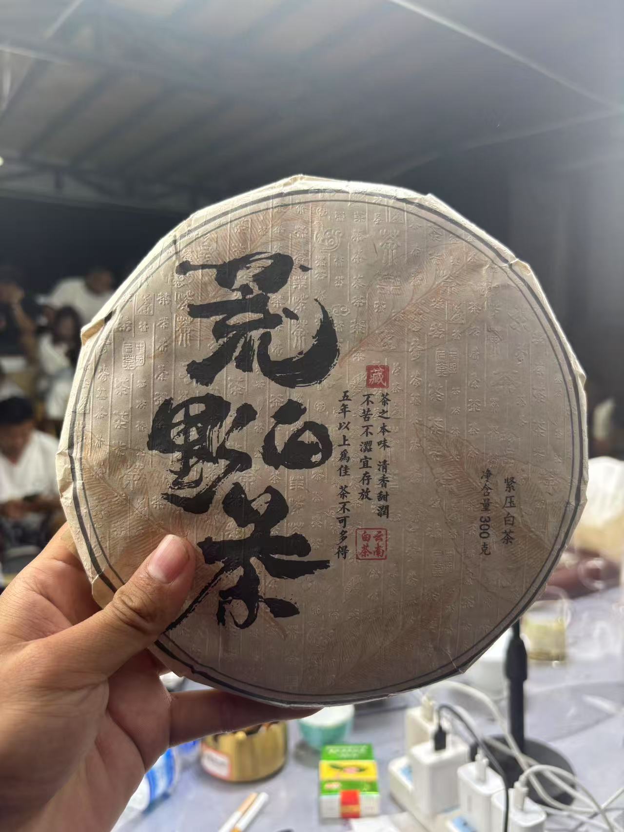 2025年头春梁子荒野白茶饼300克7月5日-【19号品】