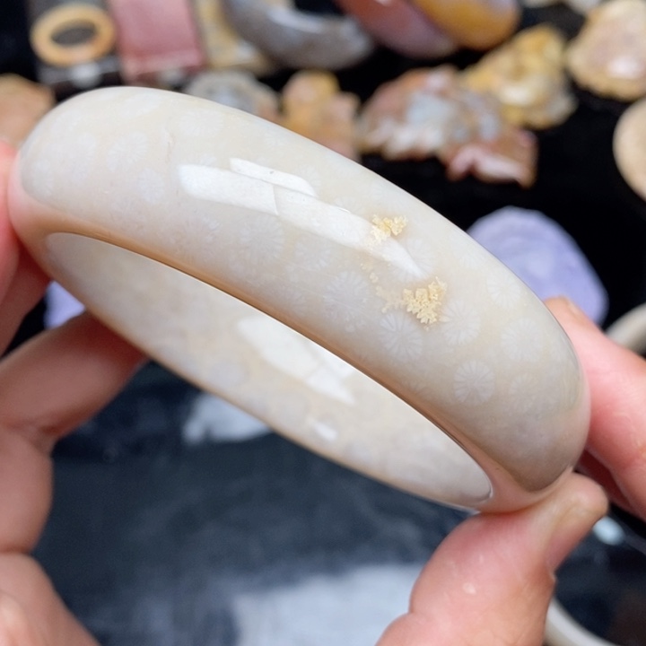 硅化珊瑚（珊瑚玉）手镯未镶嵌62