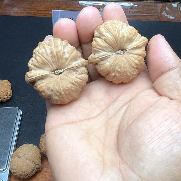 文玩核桃把件南瓜墩