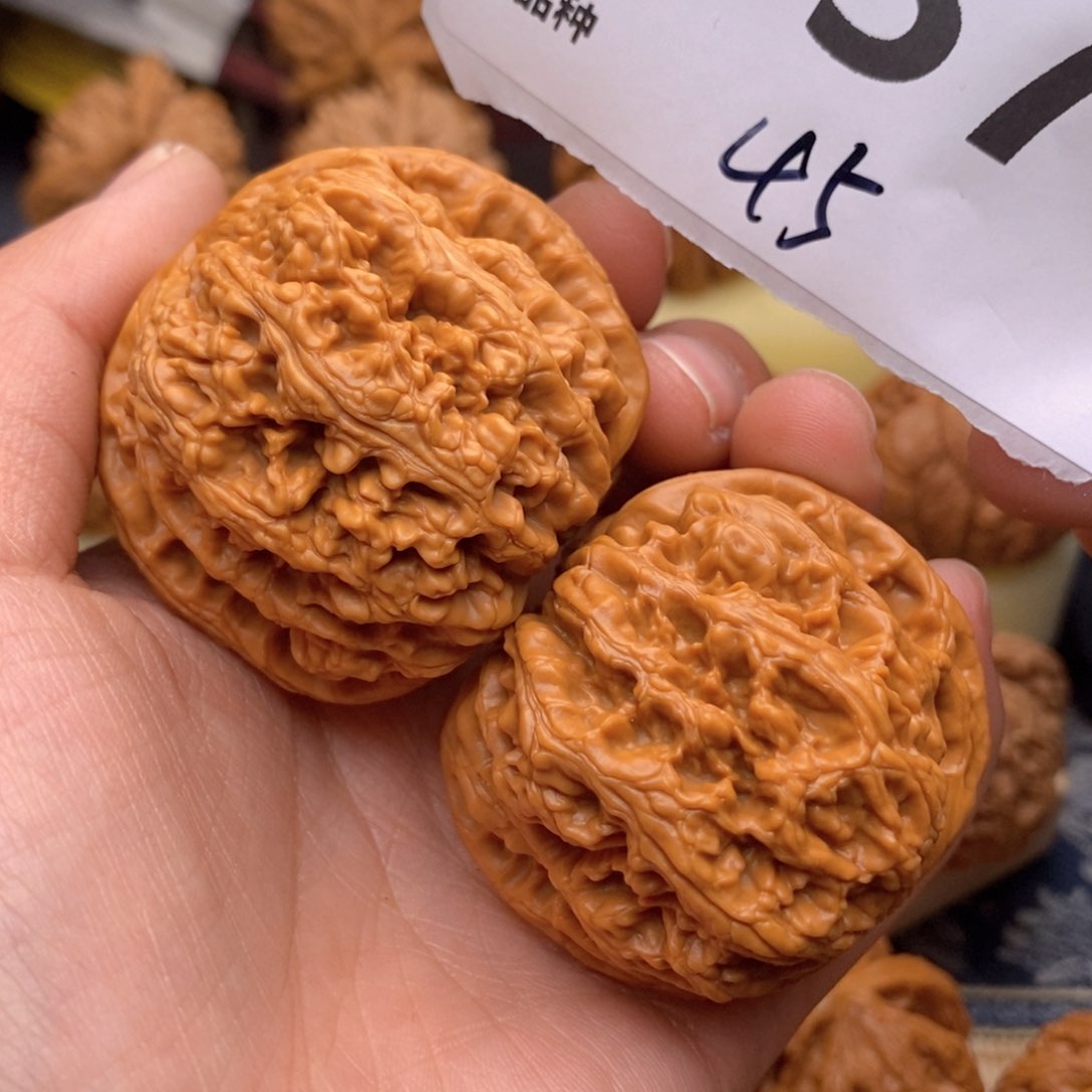 文玩核桃把件337号45粗筋