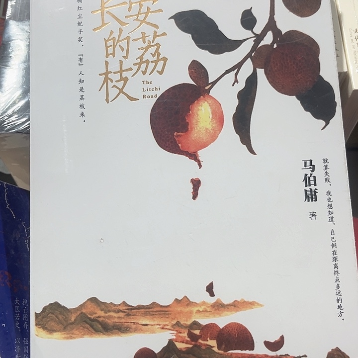 长安的荔枝全新推荐