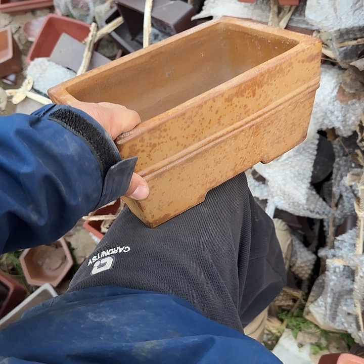 我的朋友在哪里我想我可以做一条自己