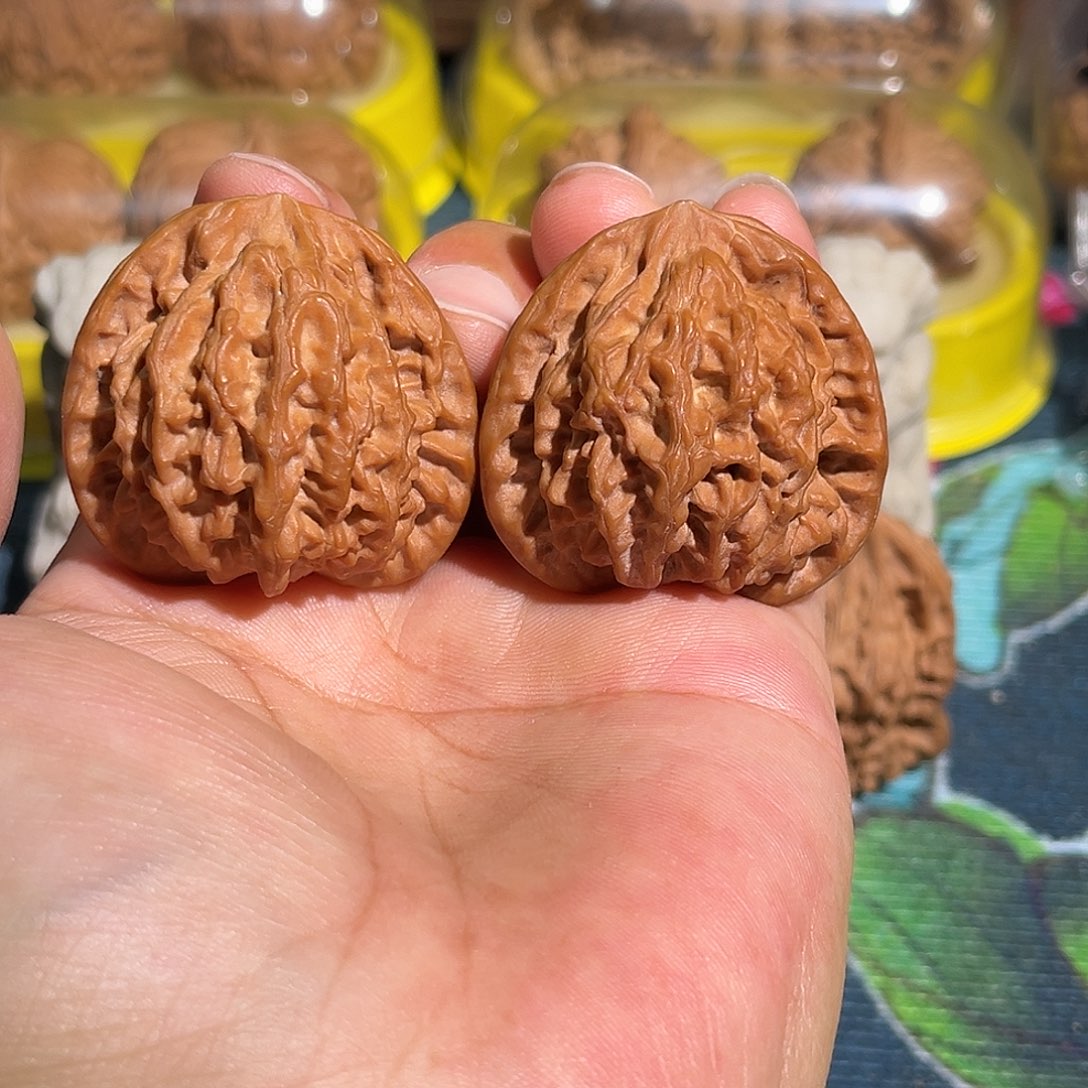 核桃野生原树鹤度岭41全品