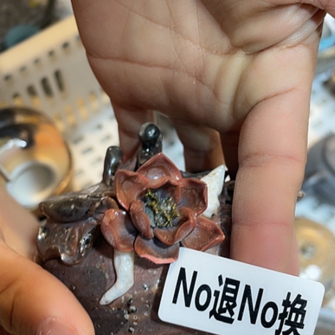 【闪购商品】福利瑕疵新年快乐福利福利