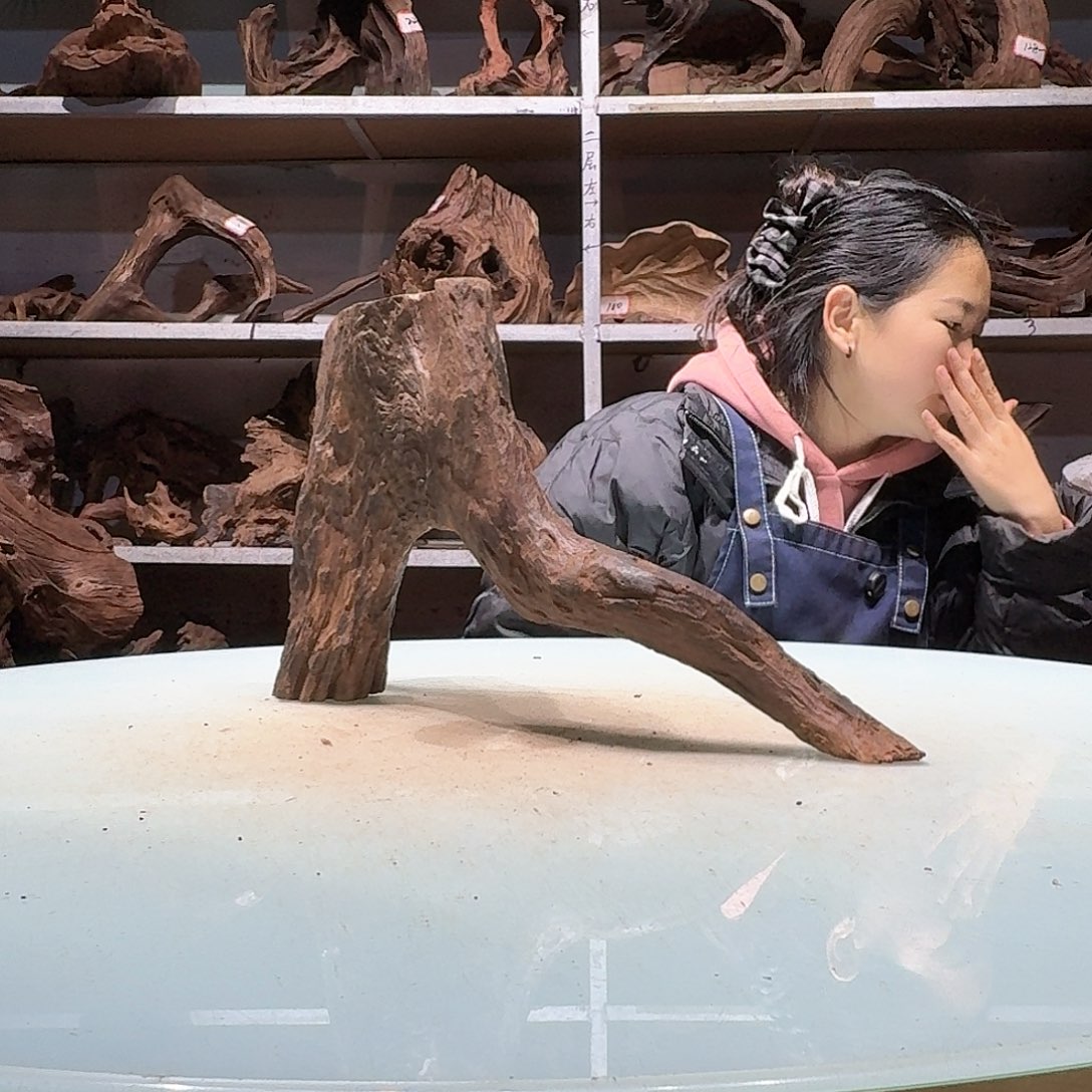 倍诸沉木不包损必褪色龙*哥7080