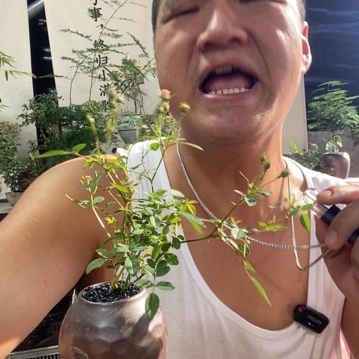 无花朵退款拉黑拉黑73