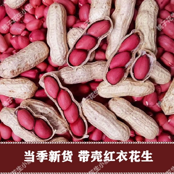 当季带壳四粒红花生果5斤3斤