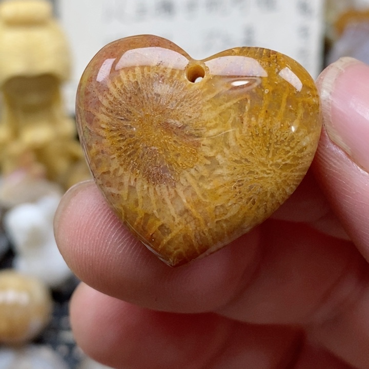 颈饰未镶嵌硅化珊瑚（珊瑚玉）