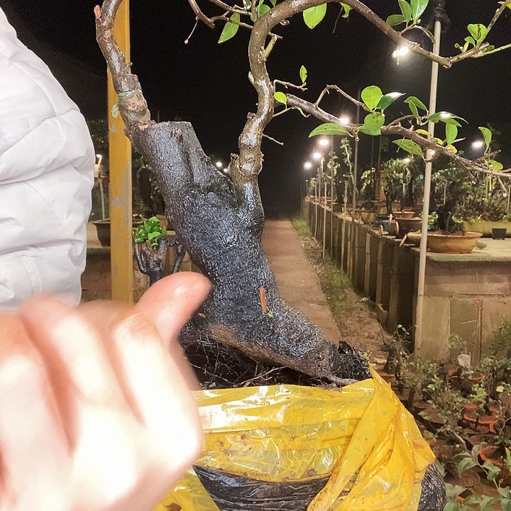 家***冯无花朵防护技能宝宝保暖