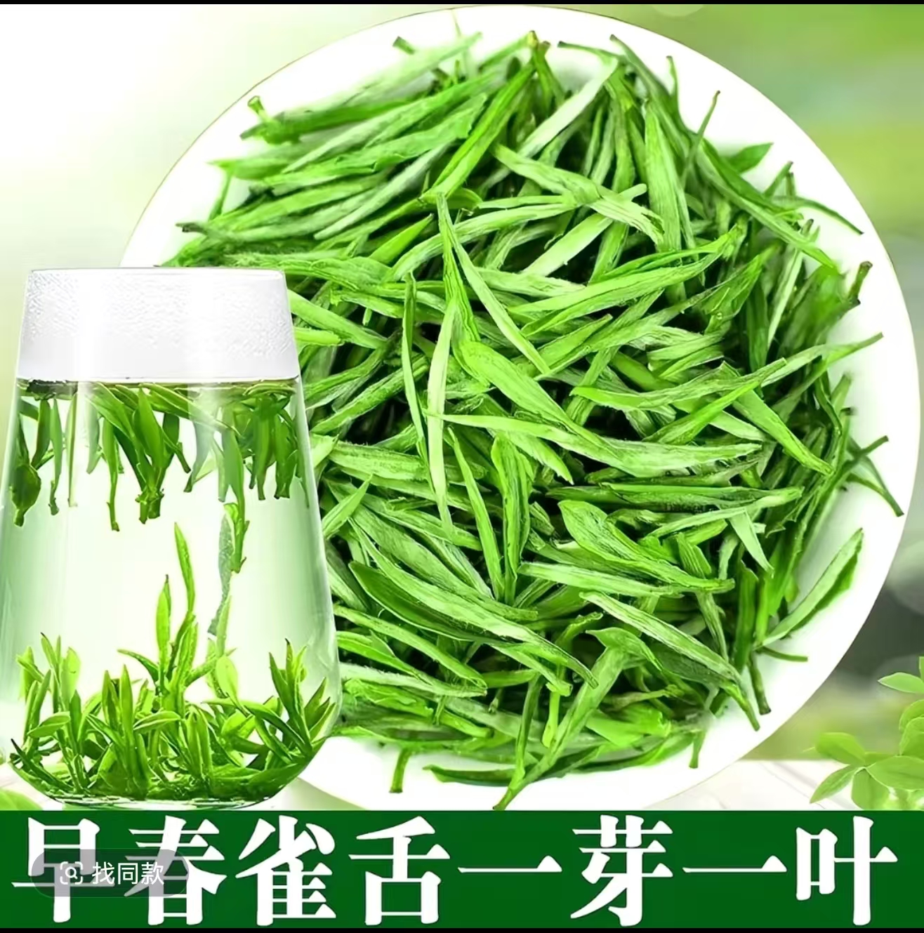2025新茶雀舌绿茶茶叶500g罐装