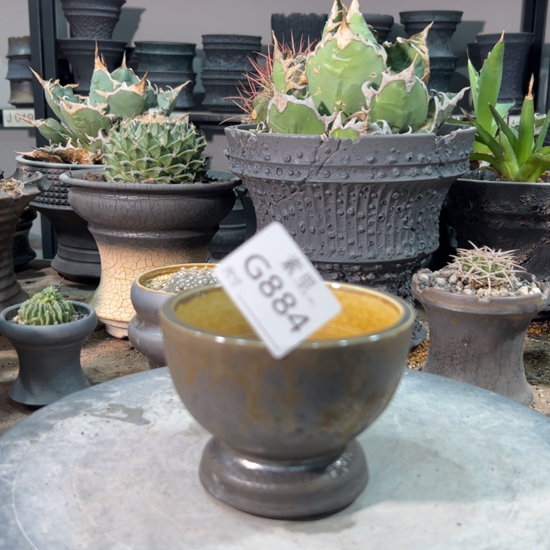 景德镇手工素里内口9.5高8