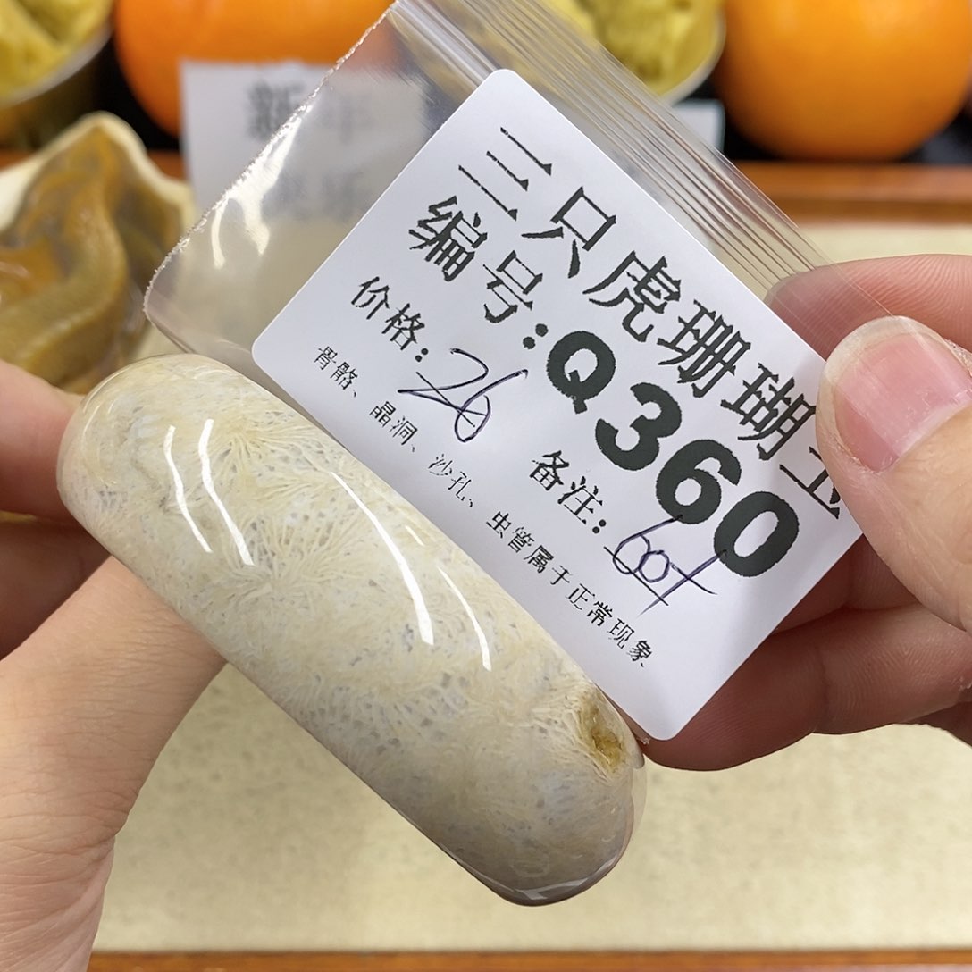 硅化珊瑚（珊瑚玉）1未镶嵌?**萳