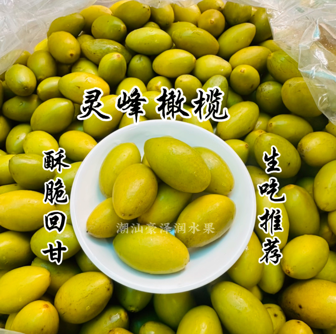 潮汕老树灵峰橄榄新鲜采摘 酥脆回甘 原汁原味生吃推荐