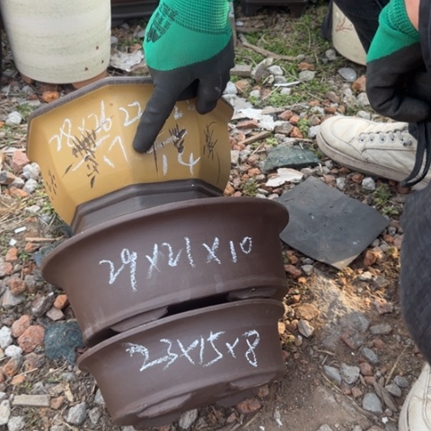 红陶紫砂花盆盆景盆栽瑕疵