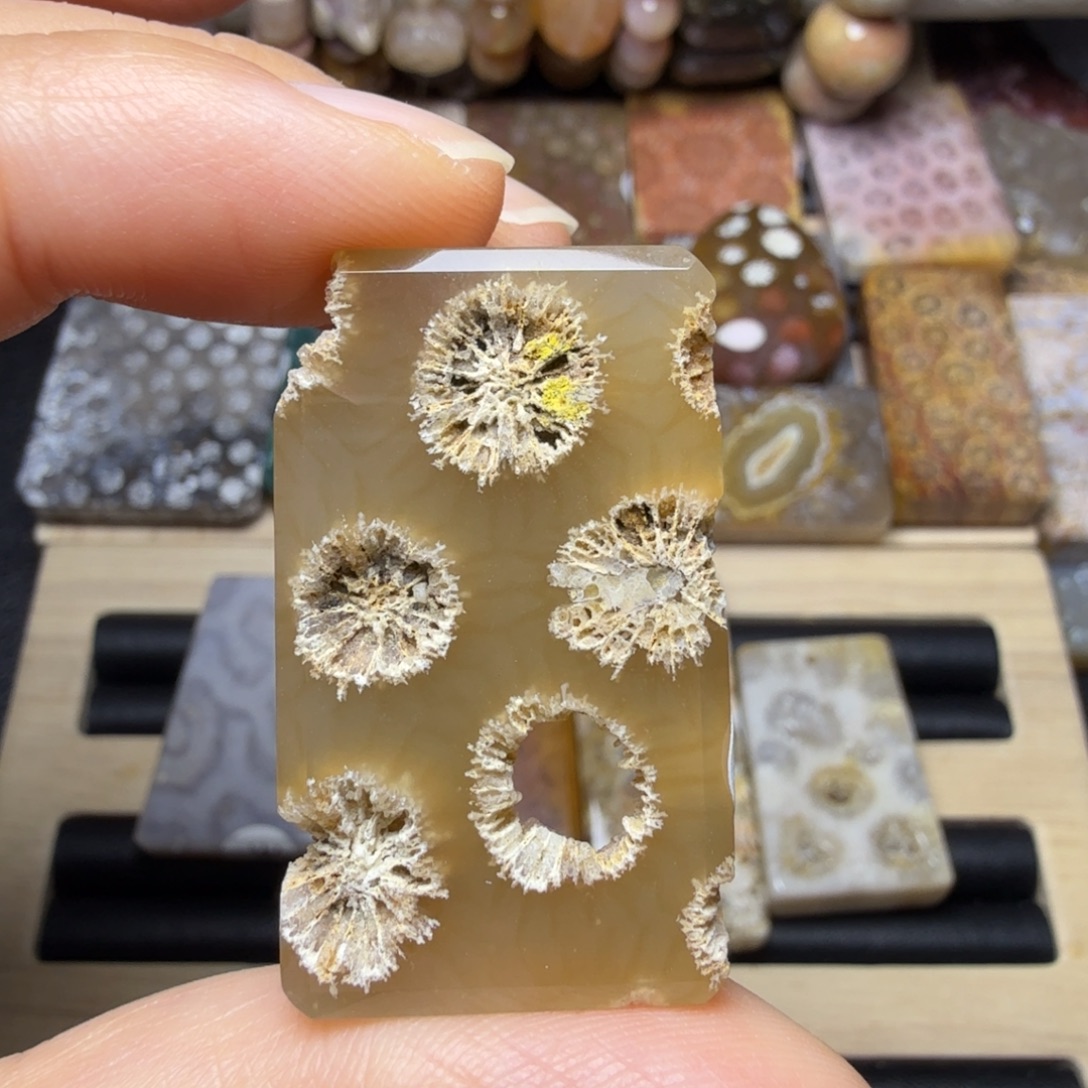 硅化玉未镶嵌标本：糖底干骨骼花