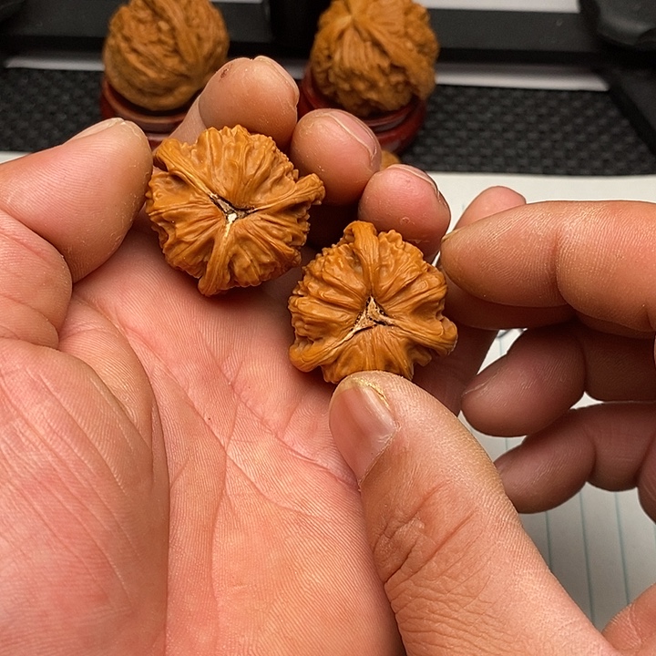 手串/手链核桃白狮子1