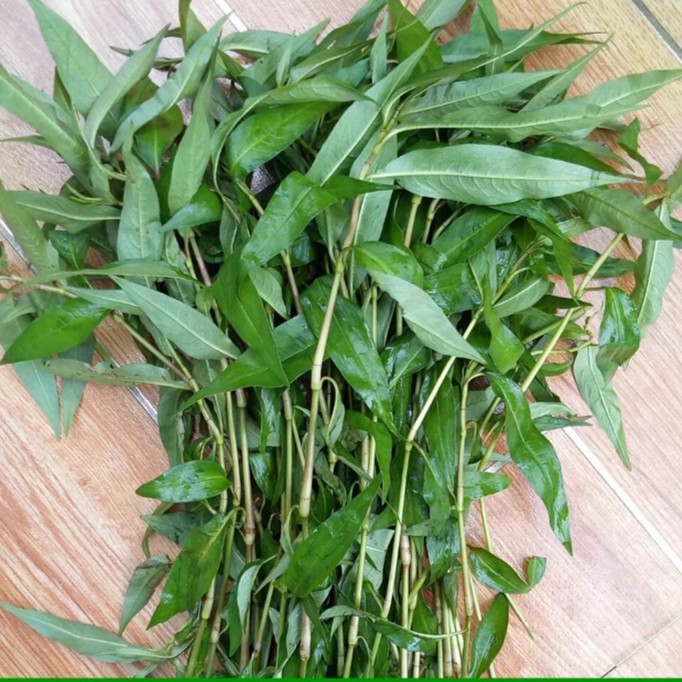 云南德宏特产家乡味道香料新鲜香辣柳香菜野菜香柳菜250克坏包赔