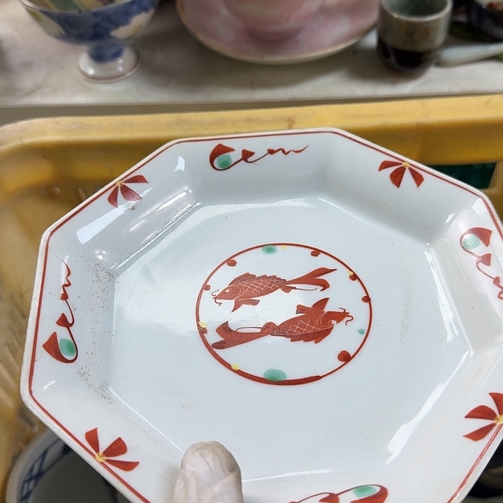 碟开播啦….开播啦