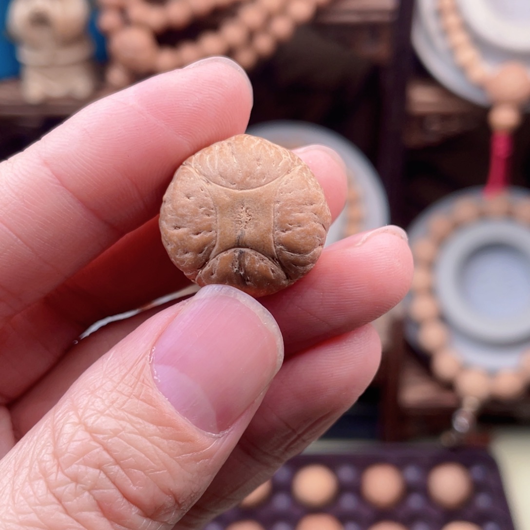 吊坠凤眼菩提沉*麒麟